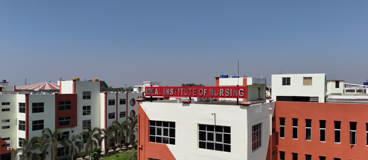 Ideal Institute Of Nursing - Nadia