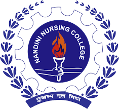 Nandini College of Nursing - Mandi
