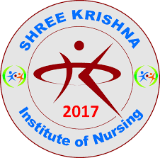 Shree Krishna Institute Of Nursing - Banaskantha